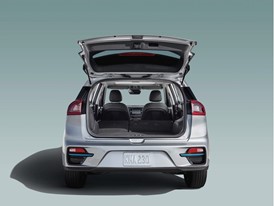 2019 Niro EV
