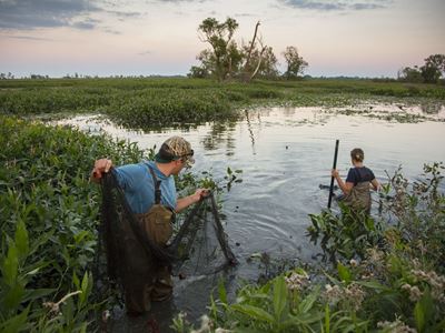 Kia America Joins Forces with The Nature Conservancy to Support Freshwater Conservation