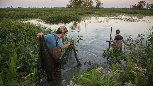 Kia America Joins Forces with The Nature Conservancy to Support Freshwater Conservation