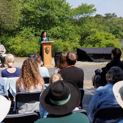 Cape Cod Installation