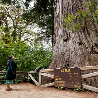 Redwood National and State Parks Installation 1