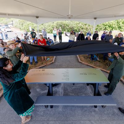 Redwood National and State Parks Installation 3