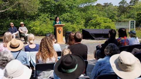 Cape Cod Installation