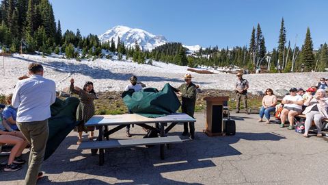 Mount Rainier Installation 3