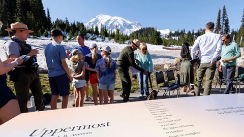 Mount Rainier Installation 4