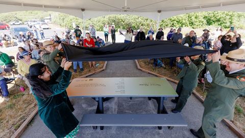 Redwood National and State Parks Installation 3