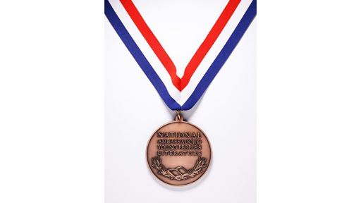 National Ambassador for Young People s Literature Medal