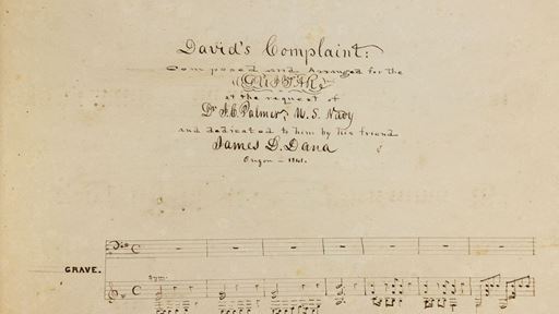 -david-s-complaint-