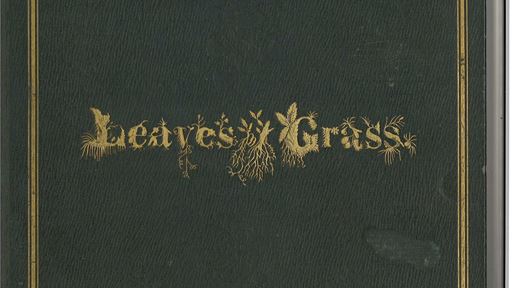 walt-whitman.-leaves-of-grass--first-edition--1855.