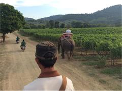 Wein aus dem Monsoon Valley in Thailand