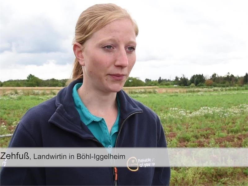 Bio-Kartoffelbauern in der Pfalz drohen 100 % Ernteausfall - Film mit Titel und Bauchbinden