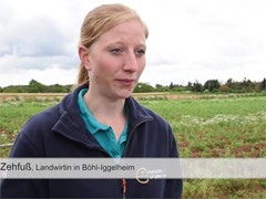 Bio-Kartoffelbauern in der Pfalz drohen 100 Prozent Ernteausfall