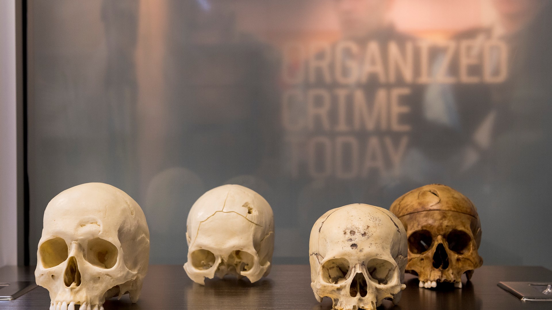 Human skulls welcomes guests to the Crime Lab as the Mob Museum