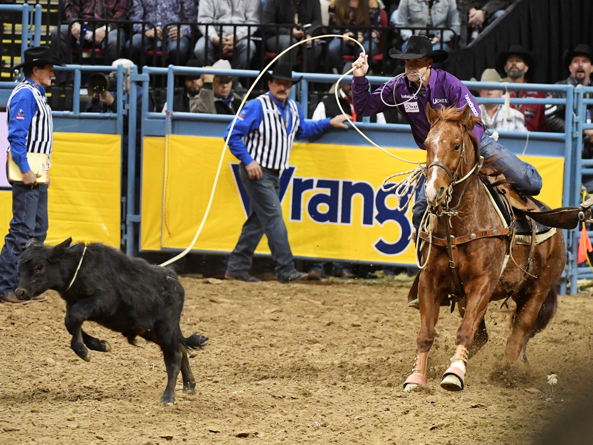 Timber Moore from Aubry, Texas, competes in tie-down roping