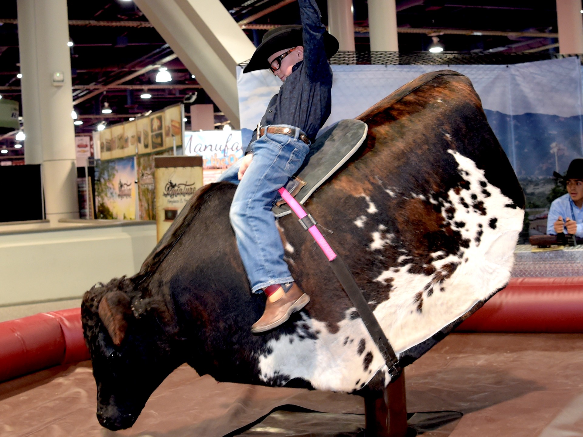 Bucking bronco
