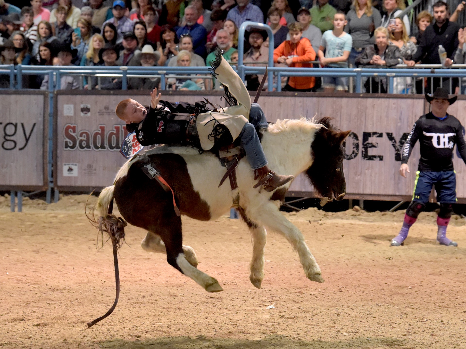 Junior bucking bronco