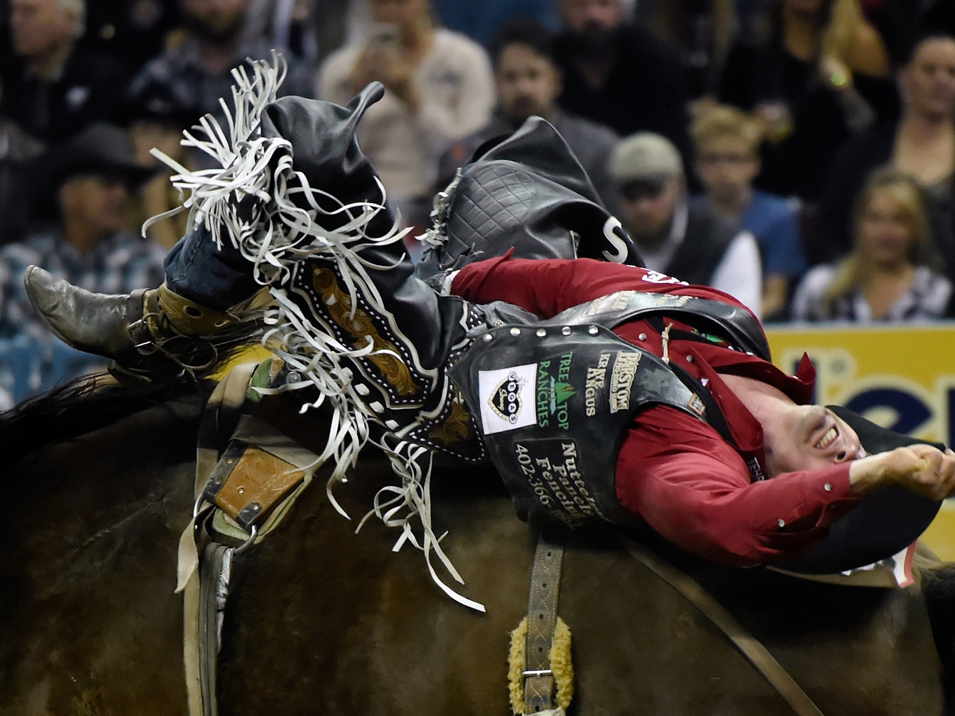 Steven Dent from Mullen, Nebraska, competes in bareback riding during the seventh go-round of the National Finals Rodeo