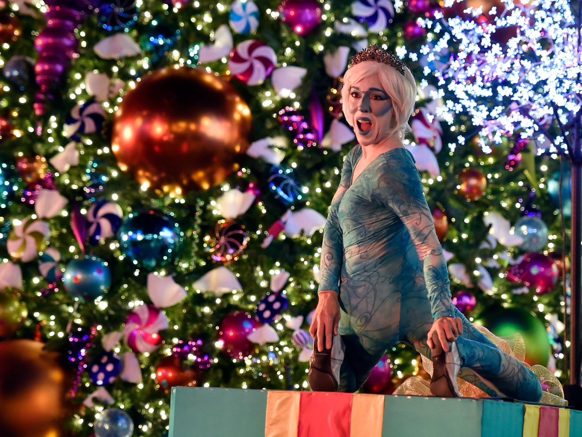 Contortionist Stephanie Castellone