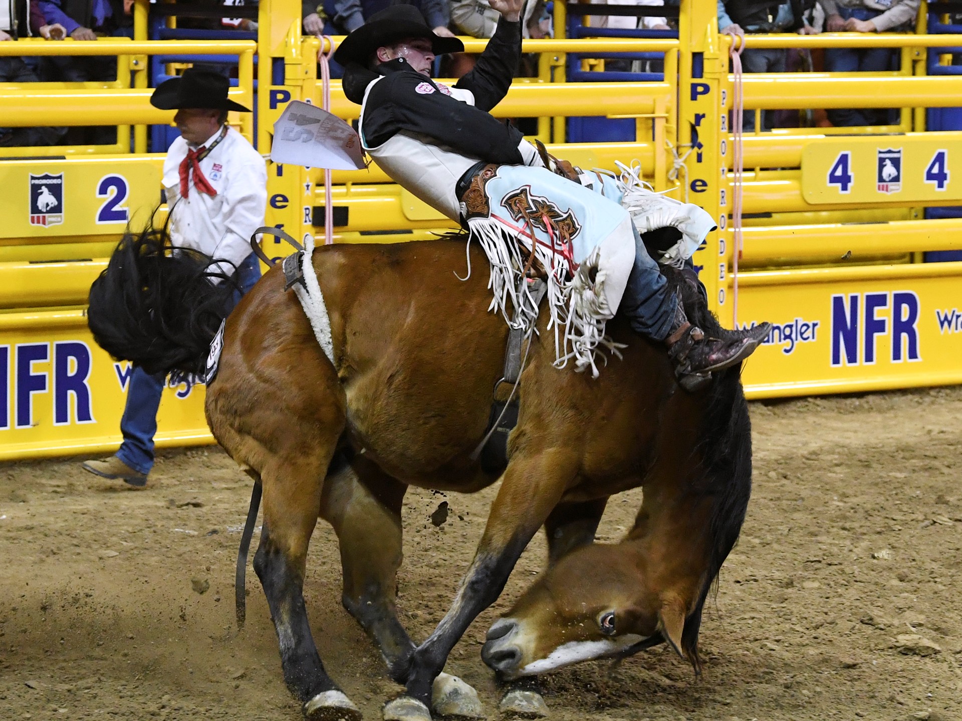 Richmond Champion competes in bareback riding