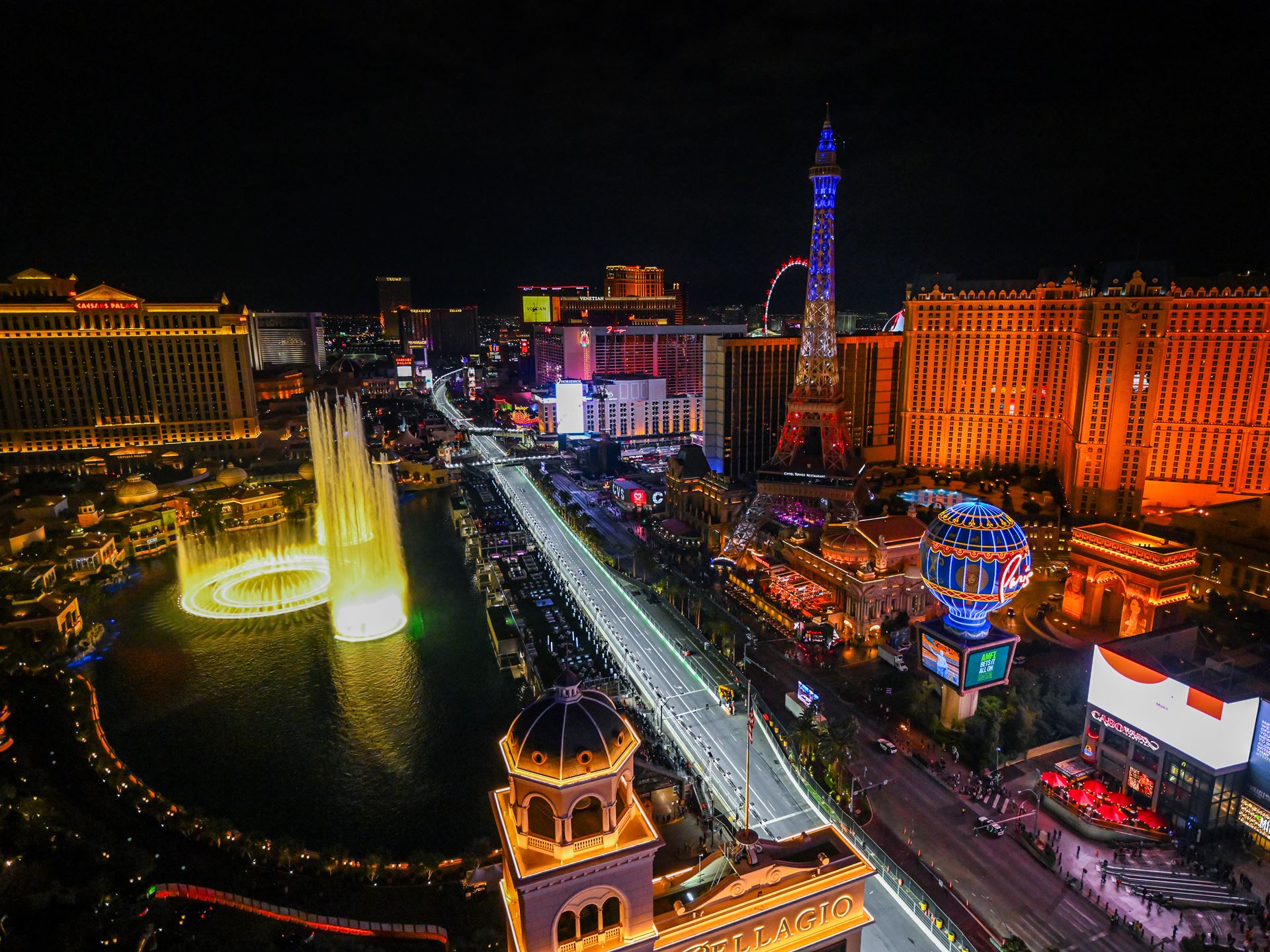 l v g p l v s c l v s 