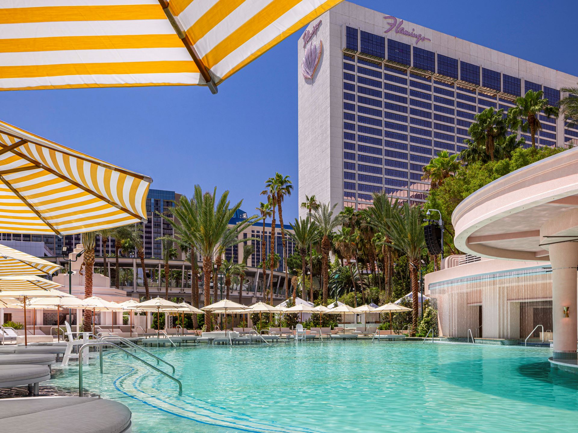 Go Pool at Flamingo Las Vegas Architecture Credit Caesars Entertainment Michel Rudin