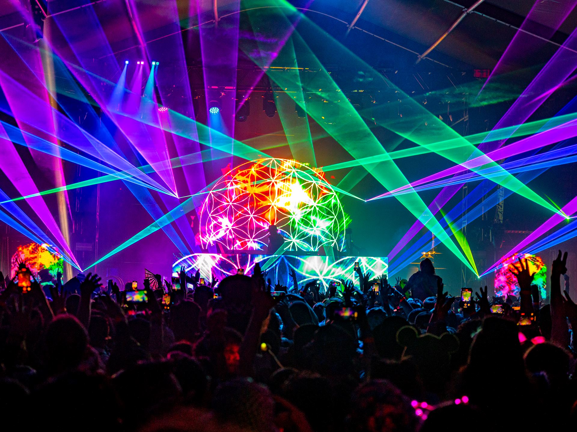 area15 wamh b l da 04