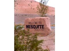 About Mesquite