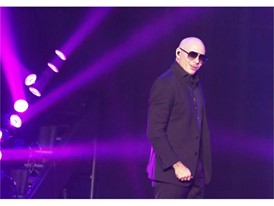 Pitbull