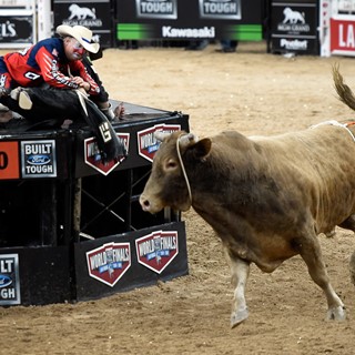 Bull fighter Flint Rasmussen pulls bull rider Guiherme Marchi on to the stage as Hedoo still runs free