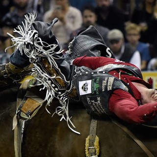 Steven Dent from Mullen, Nebraska, competes in bareback riding during the seventh go-round of the National Finals Rodeo