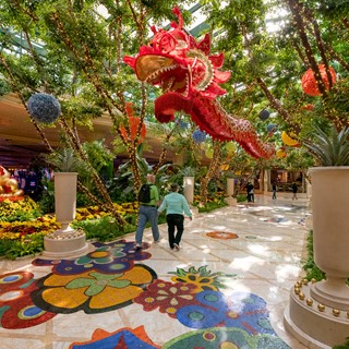Nine-foot-high gold leafed dog displays symbolizing the ‘Year of the Dog’, and a 45-foot long hanging silk dragon