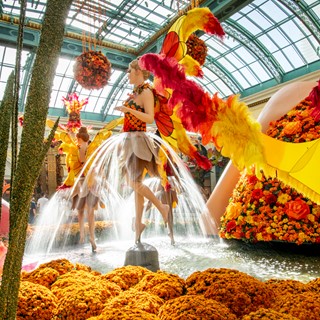 Cascading water forms skirts for fairies in the autumn display at the Bellagio Conservatory and Botanical Gardens