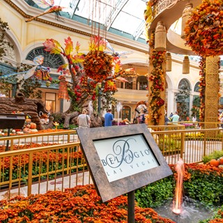 The autumn display is unveiled at the Bellagio Conservatory and Botanical Gardens