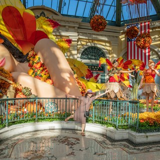 The centerpiece of an enchanting fairy in peaceful slumber is a popular photo spot in the autumn display
