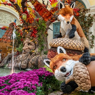 Foxes cavort around the base of the talking tree in the autumn display