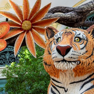 Animated tigers watch over the autumn display