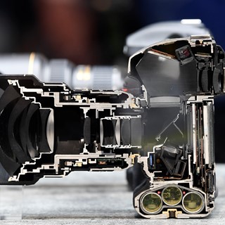 A Nikon D5 camera is displayed cut in half