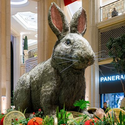 Bellagio's Conservatory & Botanical Gardens Celebrates the Year of the  Rabbit with Spectacular Display