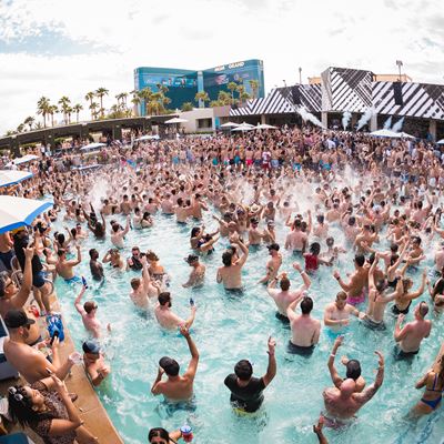 Poolside at the MGM Grand, Las Vegas - Liquid Blue Band