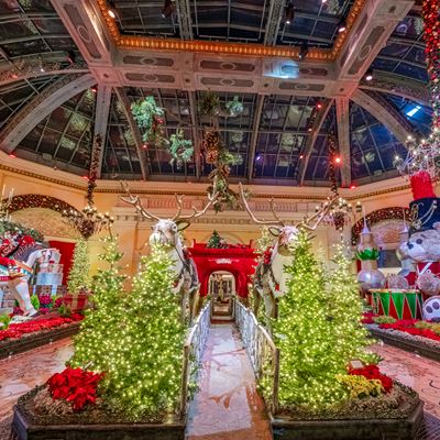 Bellagio Conservatory Botanical Gardens by Trevor Oshana MGM Resorts International