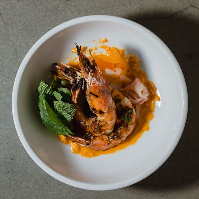 jbf m 2026 t tr5 0014