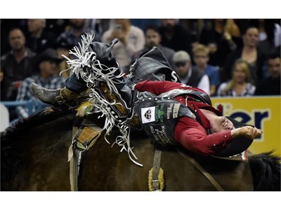 Steven Dent from Mullen, Nebraska, competes in bareback riding during the seventh go-round of the National Finals Rodeo