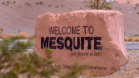 Mesquite