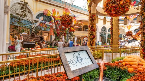 The autumn display is unveiled at the Bellagio Conservatory and Botanical Gardens