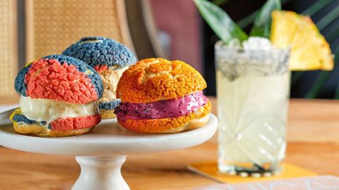 CHICA Conchitas Ice Cream Sampler