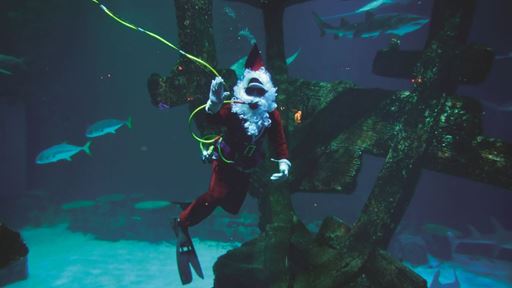 Santa in the Shipwreck at Shark Reef at Mandalay Bay by Credit to Bryan Steffy