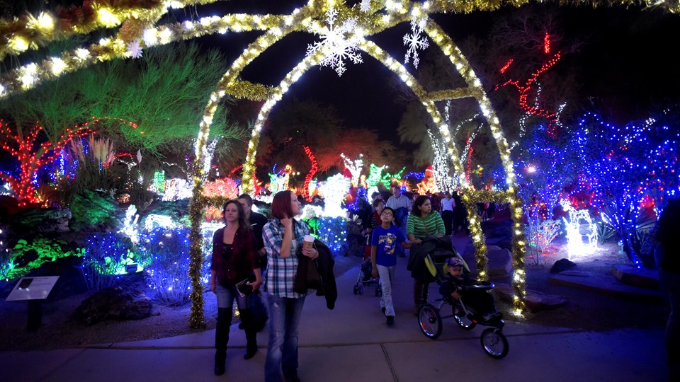 Ethel M Chocolates holiday cactus garden