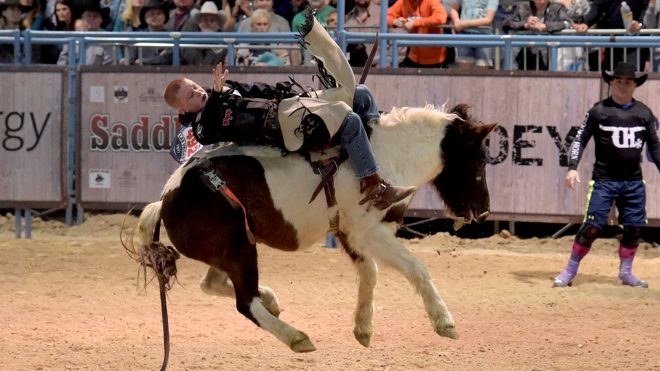 Junior bucking bronco