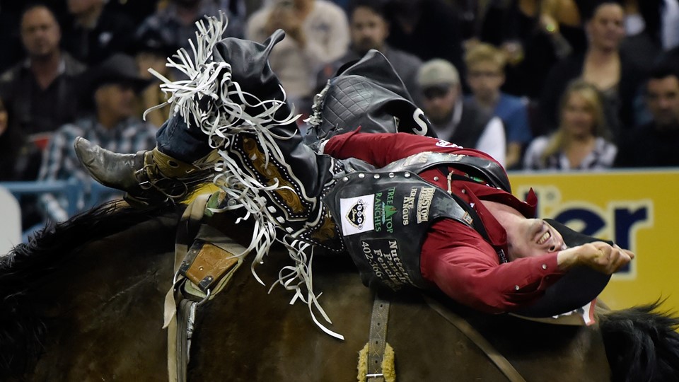 Steven Dent from Mullen, Nebraska, competes in bareback riding during the seventh go-round of the National Finals Rodeo