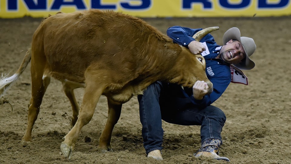 Olin Hannum from Malad, Idaho, competes in steer wrestling during the seventh go-round of the National Finals Rodeo